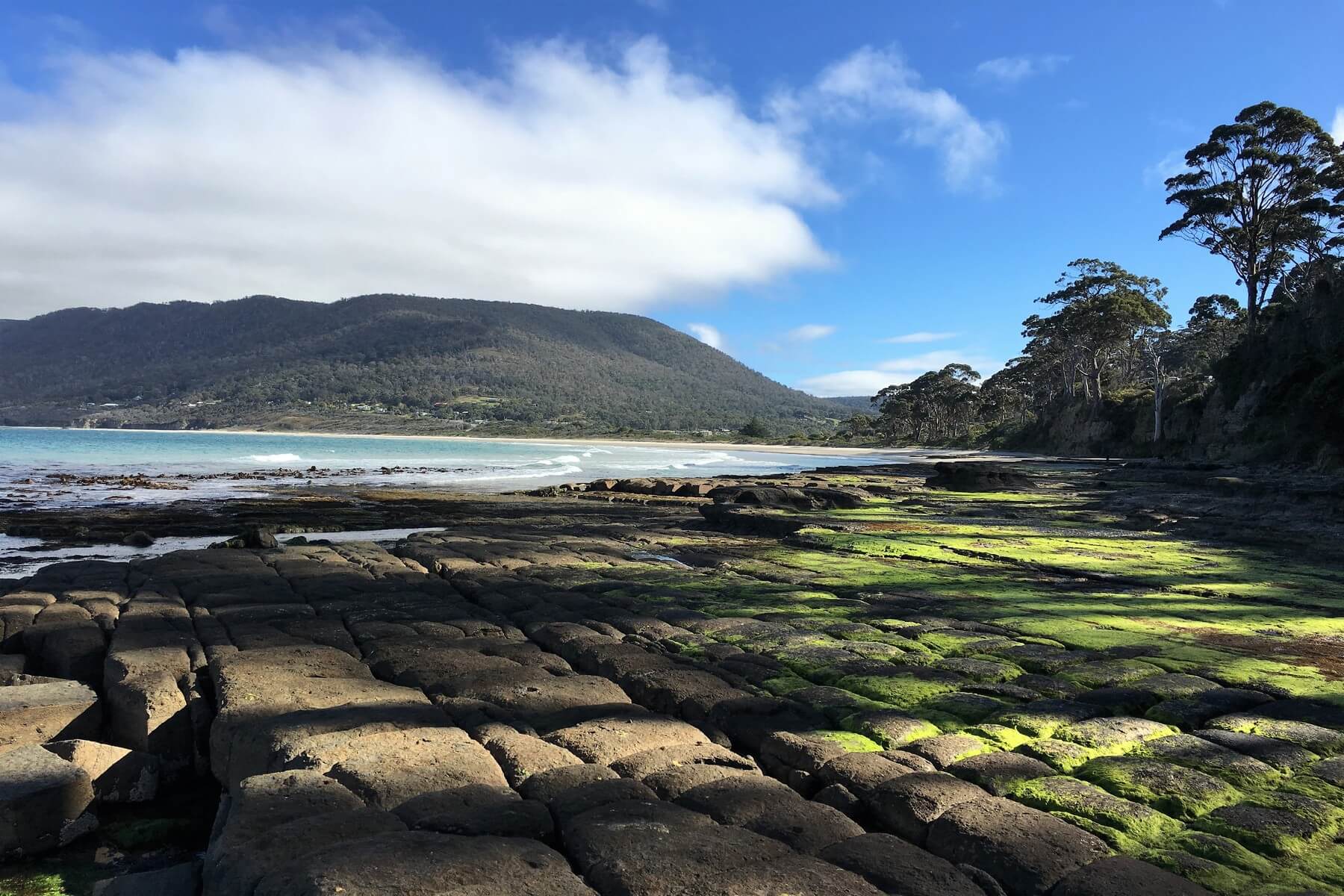 Stunning display of mother natures work with rock formation at the Tessellated Pavement